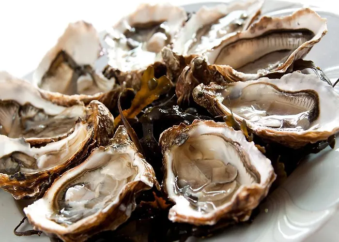 Grand De - Teritoria 3* Solesmes (Sarthe)